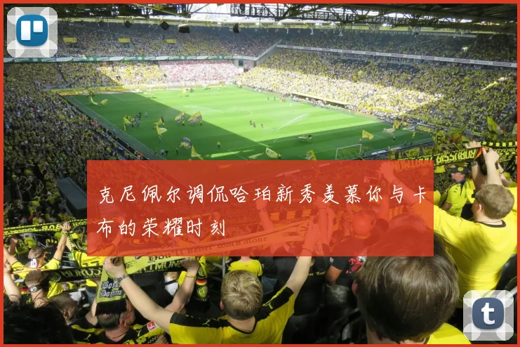 克尼佩尔调侃哈珀新秀羡慕你与卡布的荣耀时刻