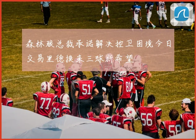森林狼总裁承诺解决控卫困境今日交易里德换来三球新希望