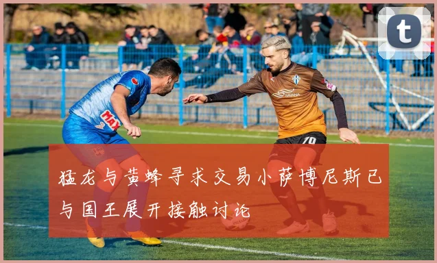 猛龙与黄蜂寻求交易小萨博尼斯已与国王展开接触讨论